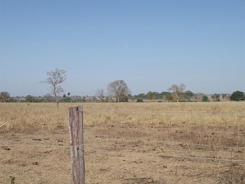 Imagem 18 do Leilão de Área Rural - Sitio Dois Irmãos - Araguapaz/GO