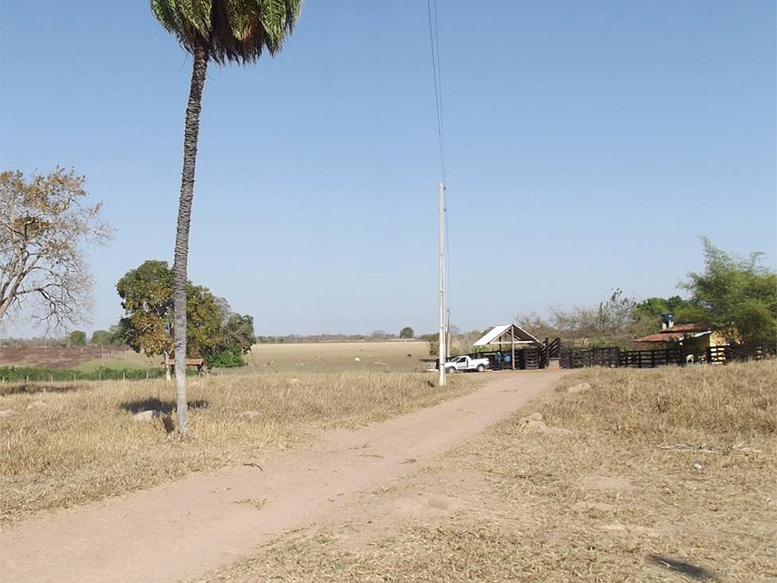 Imagem 15 do Leilão de Área Rural - Sitio Dois Irmãos - Araguapaz/GO