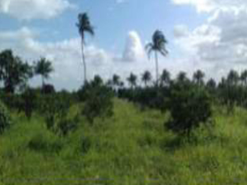 Imagem 2 do Leilão de Área Rural - Área rural  - Lagarto/SE