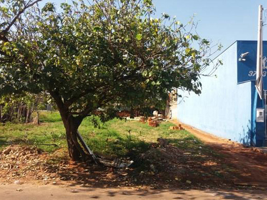 Imagem  do Leilão de Terreno - Centro  - Andradina/SP
