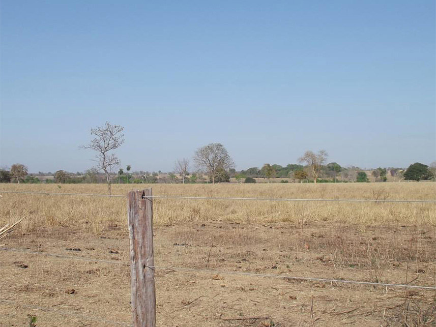 Imagem 11 do Leilão de Área Rural - Sitio Dois Irmãos - Araguapaz/GO