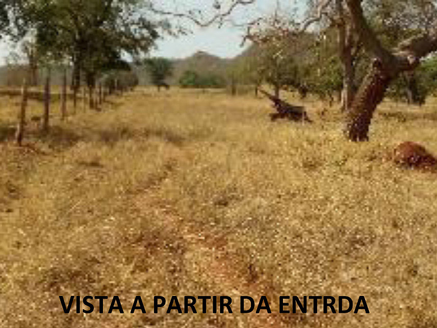 Imagem 2 do Leilão de Área Rural - Fazenda Arantes  - Campina Verde/MG