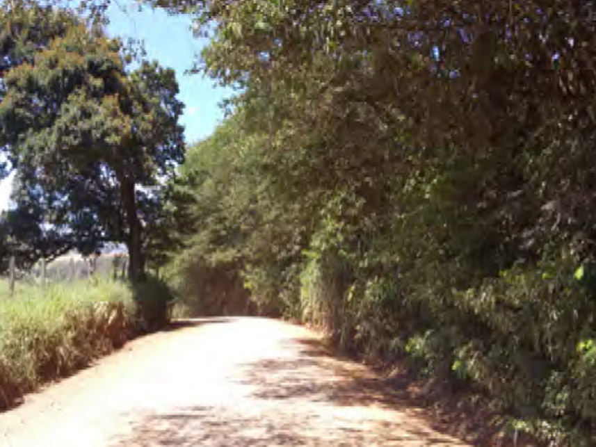 Imagem 2 do Leilão de Área Rural - Retirinho - Andradas/MG