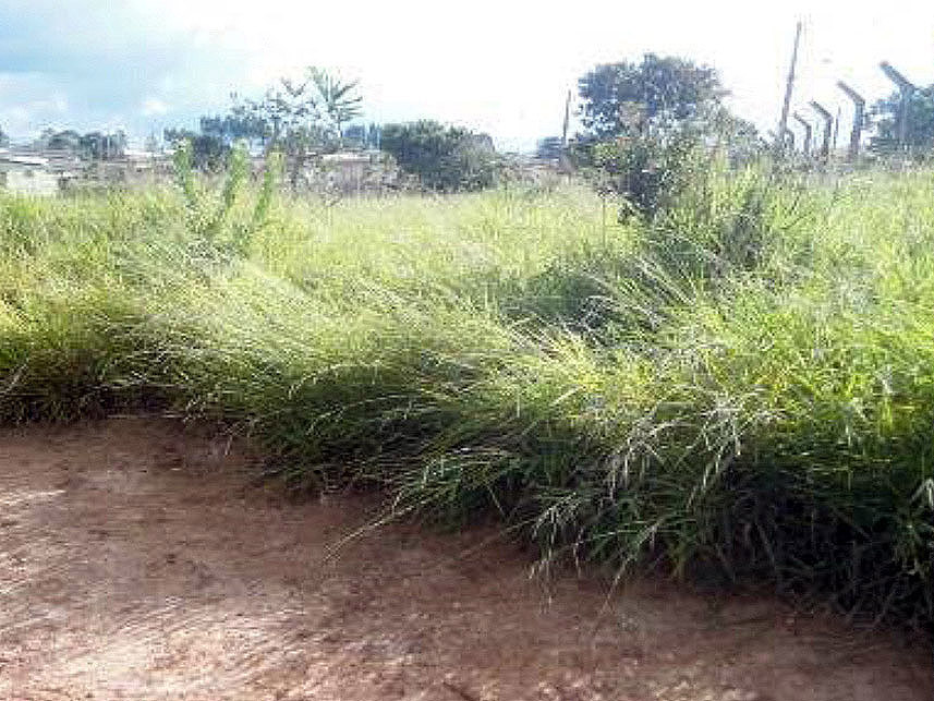 Imagem 1 do Leilão de Terreno - Parque São Francisco - São Sebastião do Paraíso/MG