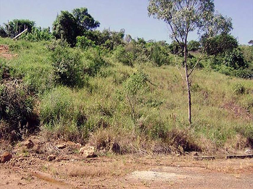 Imagem  do Leilão de Terreno - Mato Dentro - Atibaia/SP