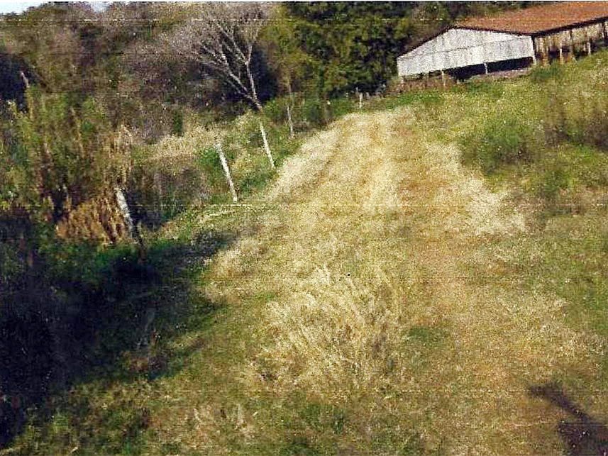 Imagem 3 do Leilão de Área Rural - Área Rural  - Espigão Alto do Iguaçu/PR