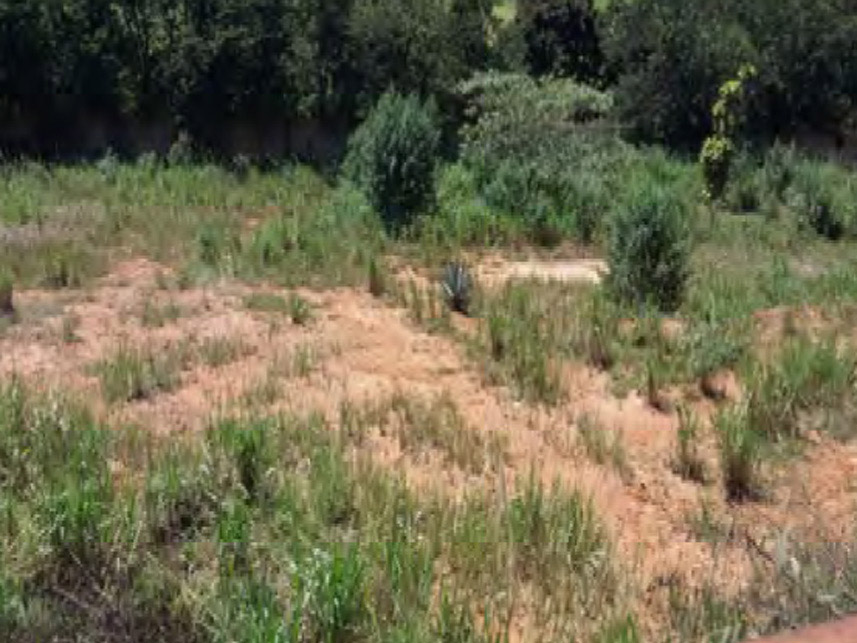 Imagem 5 do Leilão de Área Rural - Retirinho - Andradas/MG