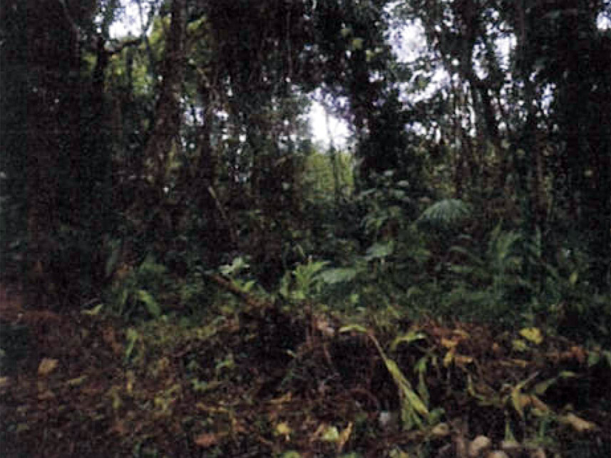 Imagem 1 do Leilão de Terreno - Embu-GUaçu - Embu-Guaçu/SP
