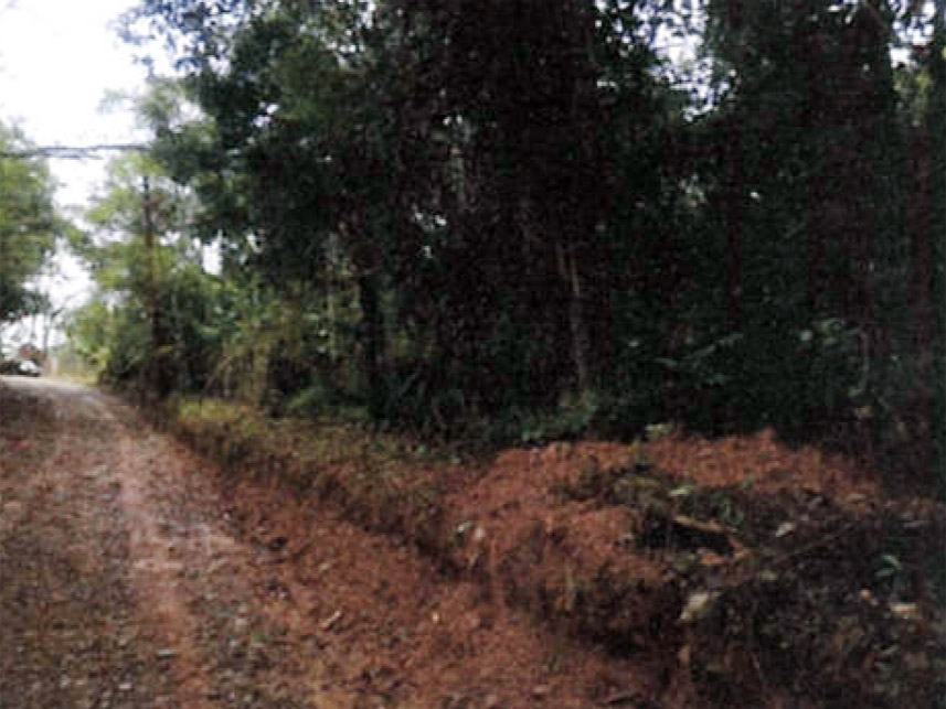Imagem 2 do Leilão de Terreno - Embu-GUaçu - Embu-Guaçu/SP