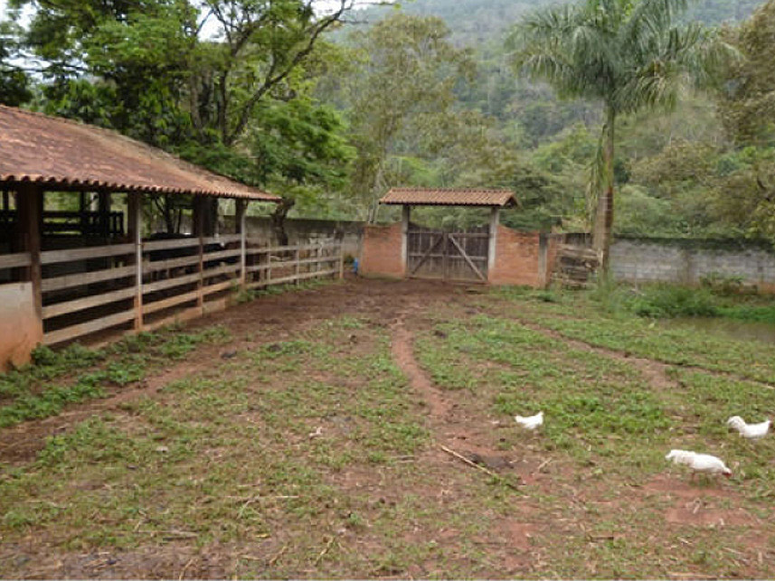 Imagem 3 do Leilão de Área Rural - Granjeamento Fazenda Salvaterra I - Juiz de Fora/MG