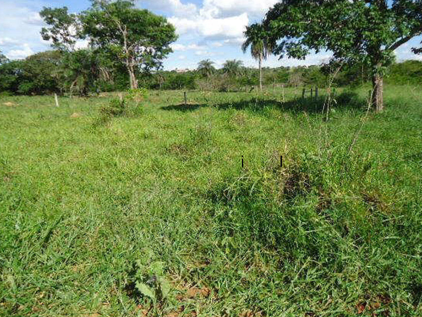 Imagem  do Leilão de Terreno - São Luiz - Abaeté/MG