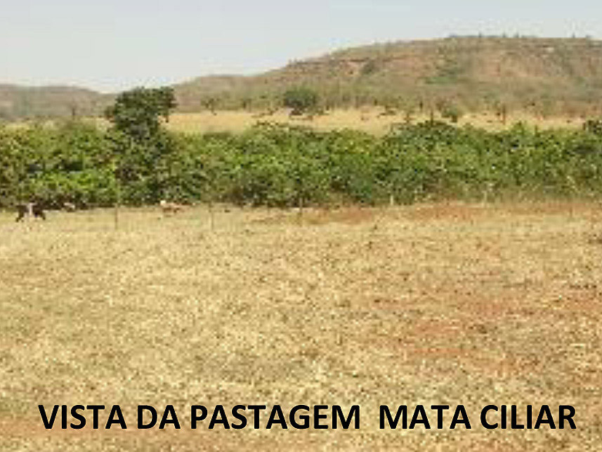 Imagem 5 do Leilão de Área Rural - Fazenda Arantes  - Campina Verde/MG