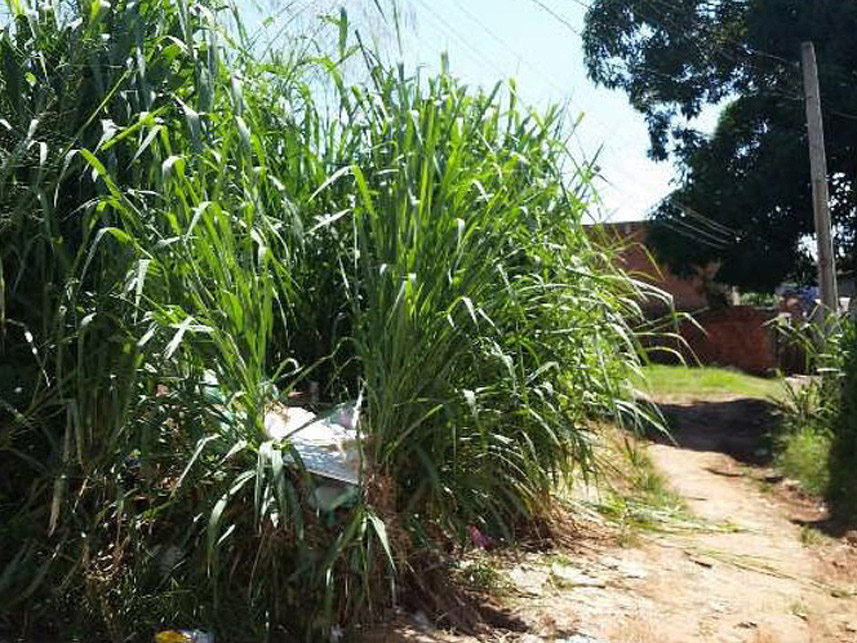 Imagem 2 do Leilão de Terreno - Ivete Vargas - Rio Branco/AC