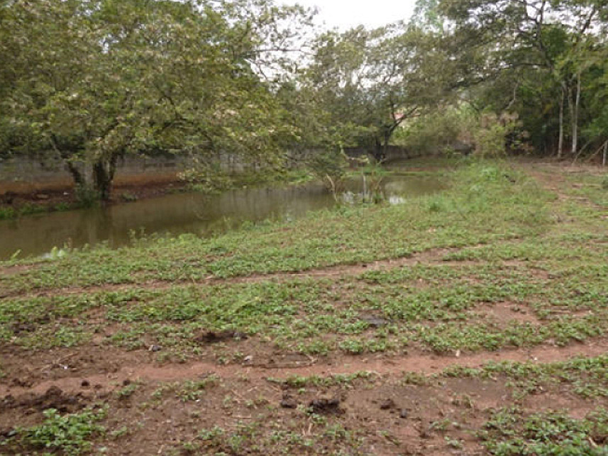 Imagem 7 do Leilão de Área Rural - Granjeamento Fazenda Salvaterra I - Juiz de Fora/MG