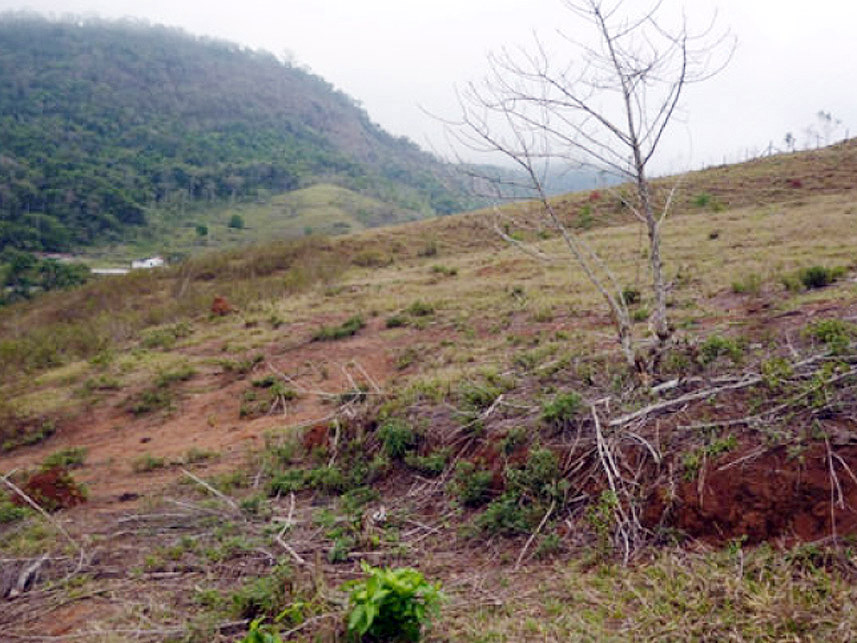 Imagem 6 do Leilão de Área Rural - Granjeamento Fazenda Salvaterra I - Juiz de Fora/MG