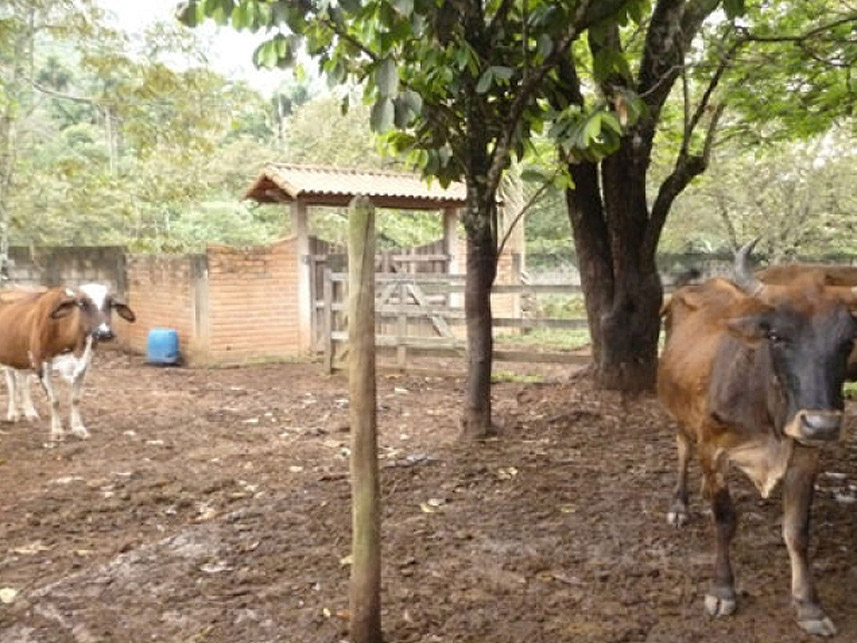 Imagem 5 do Leilão de Área Rural - Granjeamento Fazenda Salvaterra I - Juiz de Fora/MG