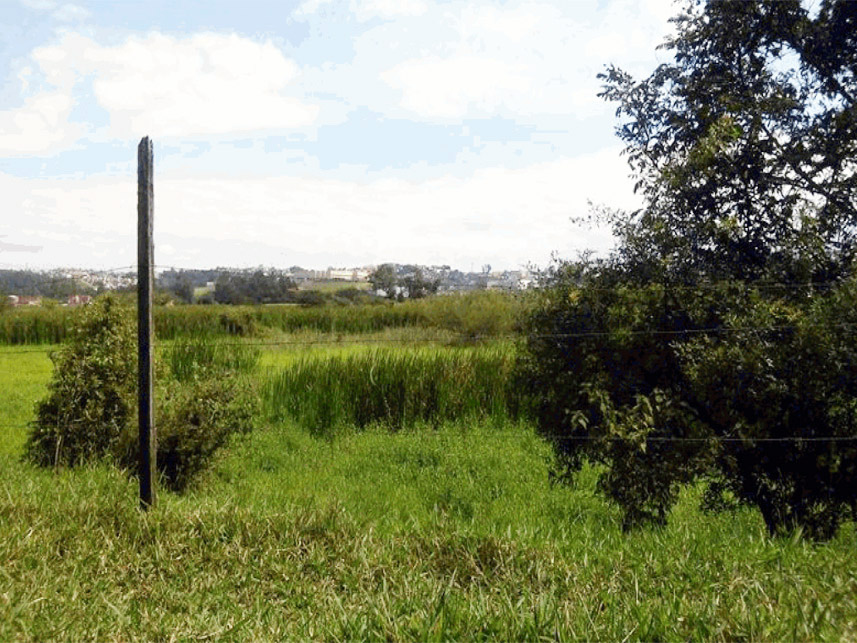 Imagem 8 do Leilão de Terreno - Vila Antonieta - Guarulhos/SP