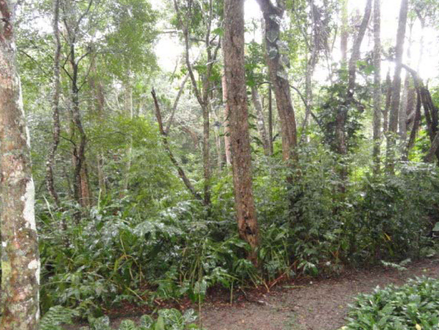 Imagem 6 do Leilão de Casa - Tijuco Preto - Vargem Grande Paulista/SP