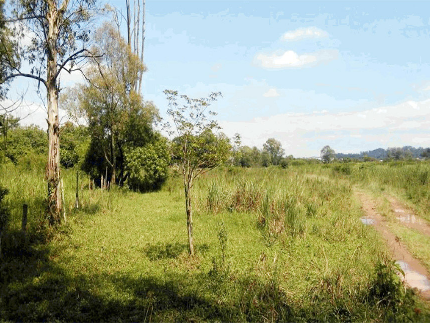 Imagem 2 do Leilão de Terreno - Vila Antonieta - Guarulhos/SP