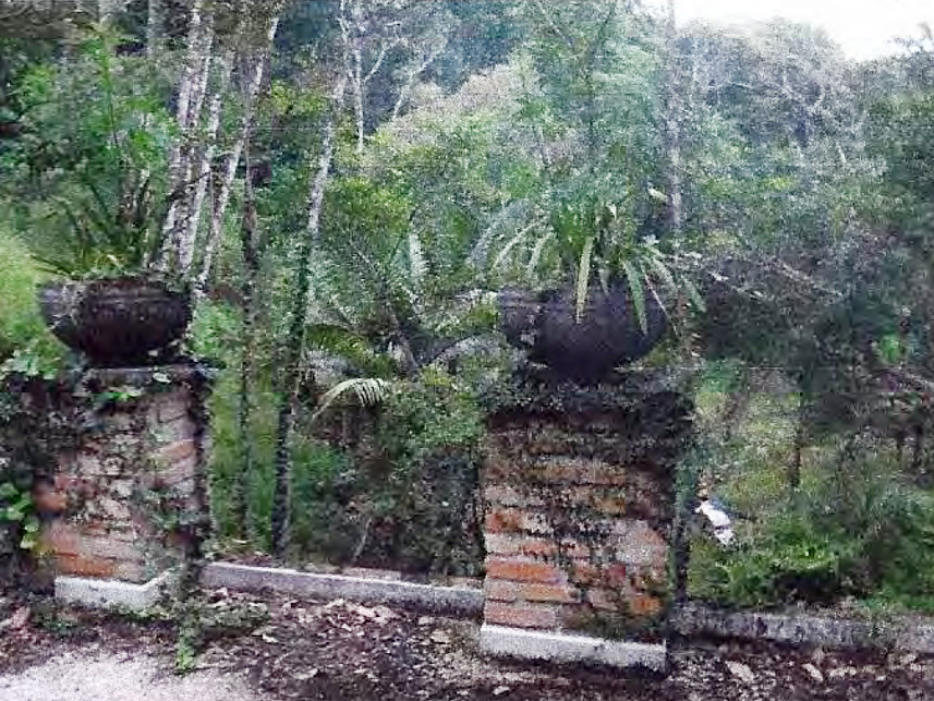 Imagem 6 do Leilão de Área Rural - Área rural - Bocaiúva do Sul/PR