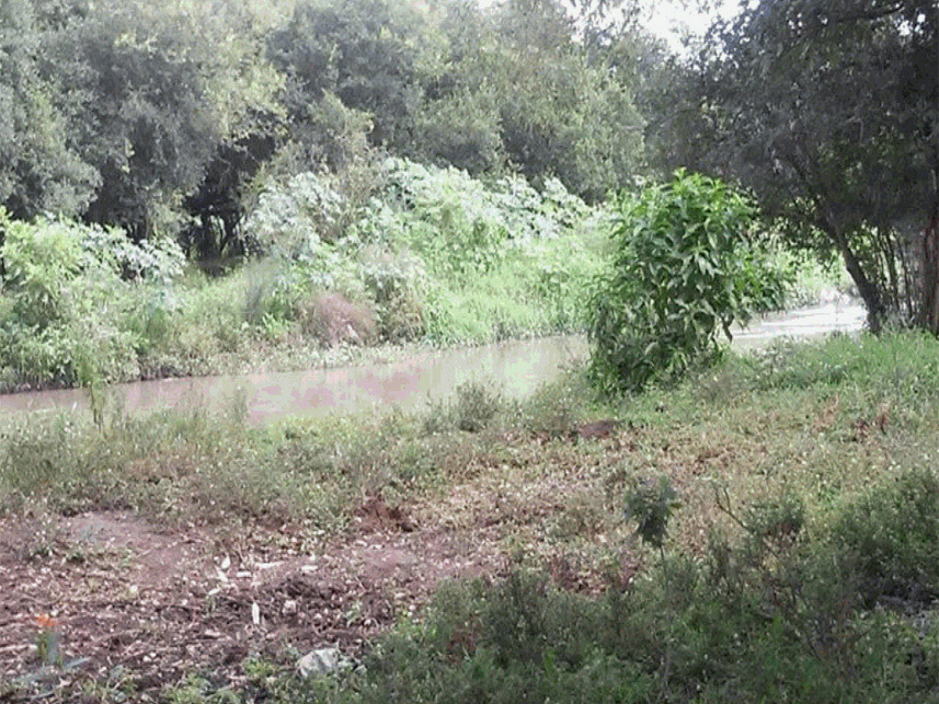 Imagem 15 do Leilão de Terreno - Vila Antonieta - Guarulhos/SP