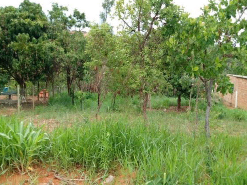 Imagem 1 do Leilão de Terreno - Parque do Buriti - Caetanópolis/MG