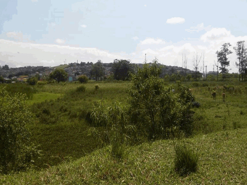 Imagem 5 do Leilão de Terreno - Vila Antonieta - Guarulhos/SP