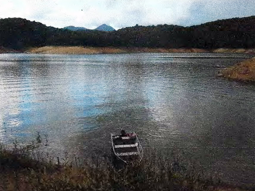 Imagem 4 do Leilão de Área Rural - Área rural - Bocaiúva do Sul/PR