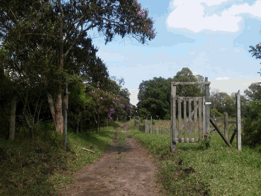 Imagem 6 do Leilão de Terreno - Vila Antonieta - Guarulhos/SP