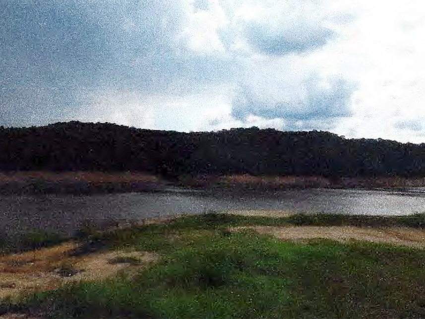 Imagem 1 do Leilão de Área Rural - Área rural - Bocaiúva do Sul/PR