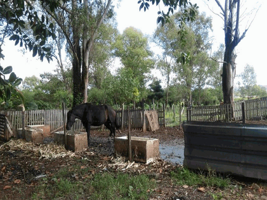 Imagem 14 do Leilão de Terreno - Vila Antonieta - Guarulhos/SP