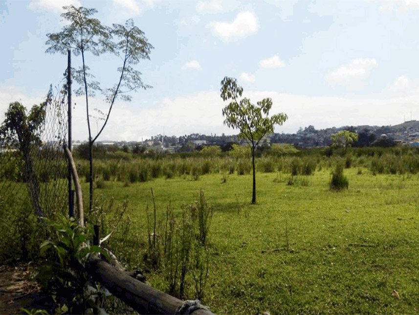 Imagem 12 do Leilão de Terreno - Vila Antonieta - Guarulhos/SP