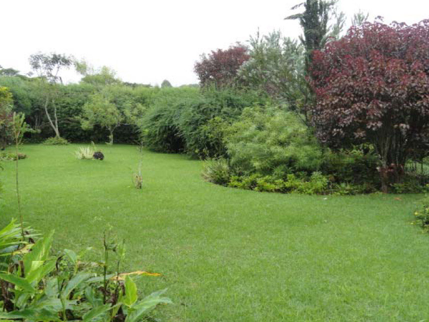 Imagem 5 do Leilão de Casa - Tijuco Preto - Vargem Grande Paulista/SP