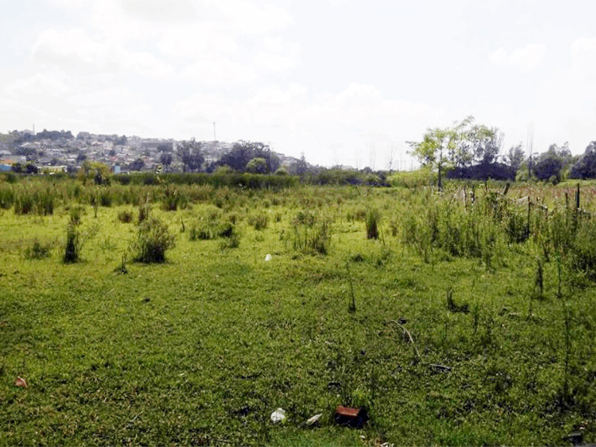 Imagem 13 do Leilão de Terreno - Vila Antonieta - Guarulhos/SP