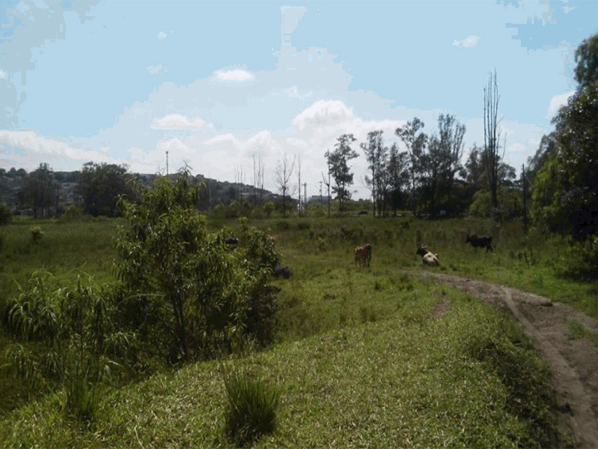 Imagem 3 do Leilão de Terreno - Vila Antonieta - Guarulhos/SP