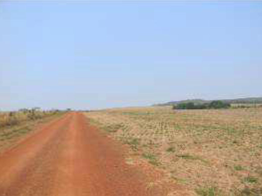 Imagem 5 do Leilão de Área Rural - Centro - Poxoréu/MT