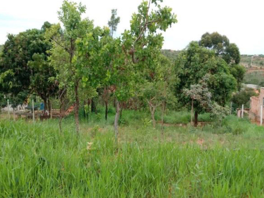 Imagem 2 do Leilão de Terreno - Parque do Buriti - Caetanópolis/MG