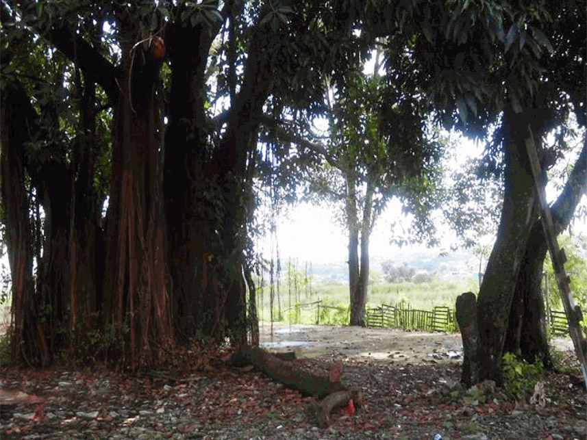 Imagem 10 do Leilão de Terreno - Vila Antonieta - Guarulhos/SP