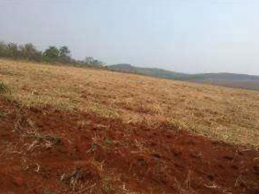 Imagem 3 do Leilão de Área Rural - Centro - Poxoréu/MT