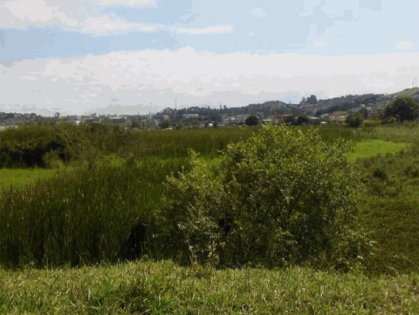 Imagem 4 do Leilão de Terreno - Vila Antonieta - Guarulhos/SP