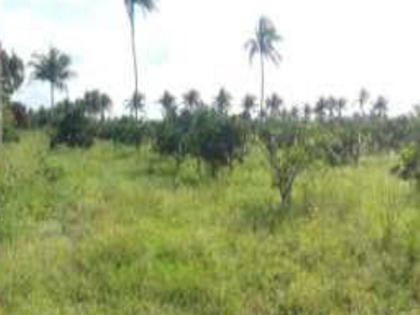 Imagem 3 do Leilão de Área Rural - Área rural  - Lagarto/SE