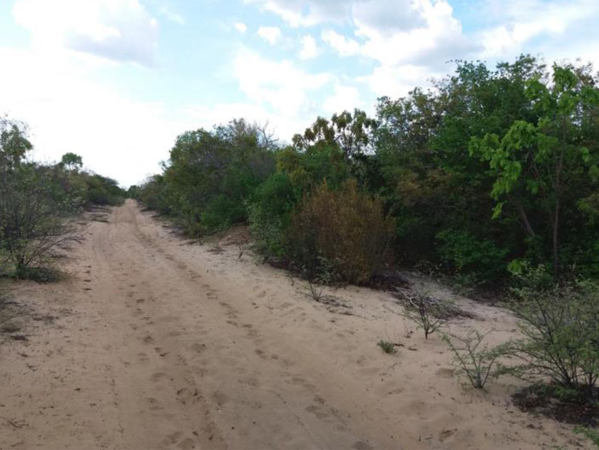 Imagem 4 do Leilão de Área Rural - Fazenda Lagoa da Praia - Carinhanha/BA