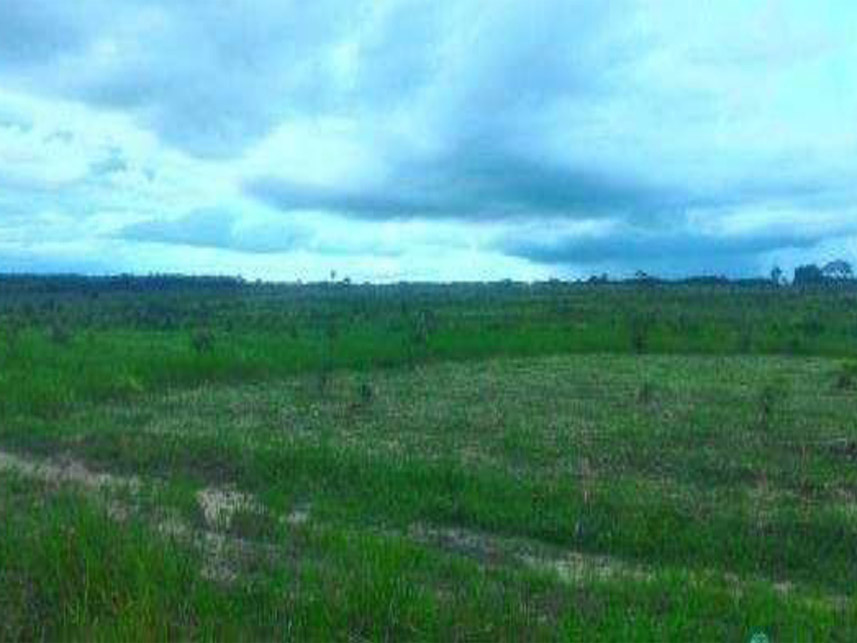 Imagem 1 do Leilão de Área Rural - Área rural - Santarém Novo/PA