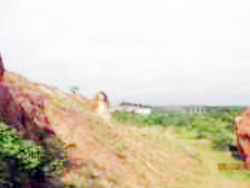 Imagem 2 do Leilão de Terreno - Lama Preta - Camaçari/BA