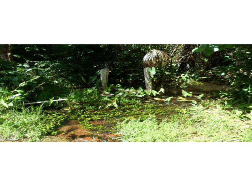 Imagem 3 do Leilão de Área Rural - Loteamento Rios Lontra e Andorinha 6ª Etapa - Aragominas/TO