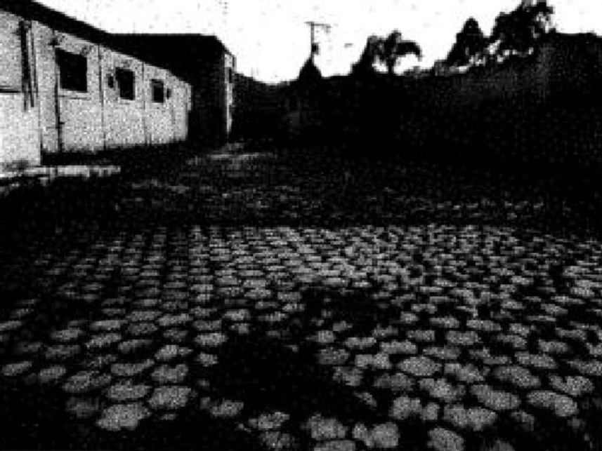 Imagem 7 do Leilão de Prédio Comercial - Centro - Delfim Moreira/MG