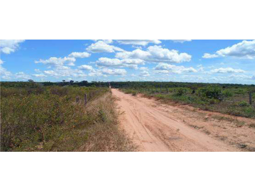 Imagem 2 do Leilão de Área Rural - Loteamento Rios Lontra e Andorinha 6ª Etapa - Aragominas/TO