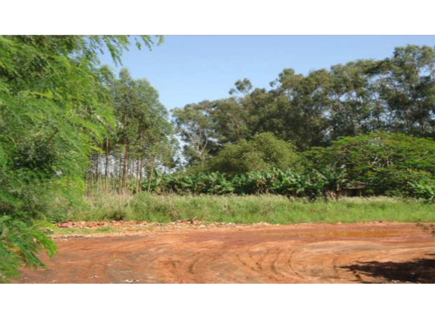 Imagem 1 do Leilão de Terreno - Parque Industrial - Mundo Novo/MS