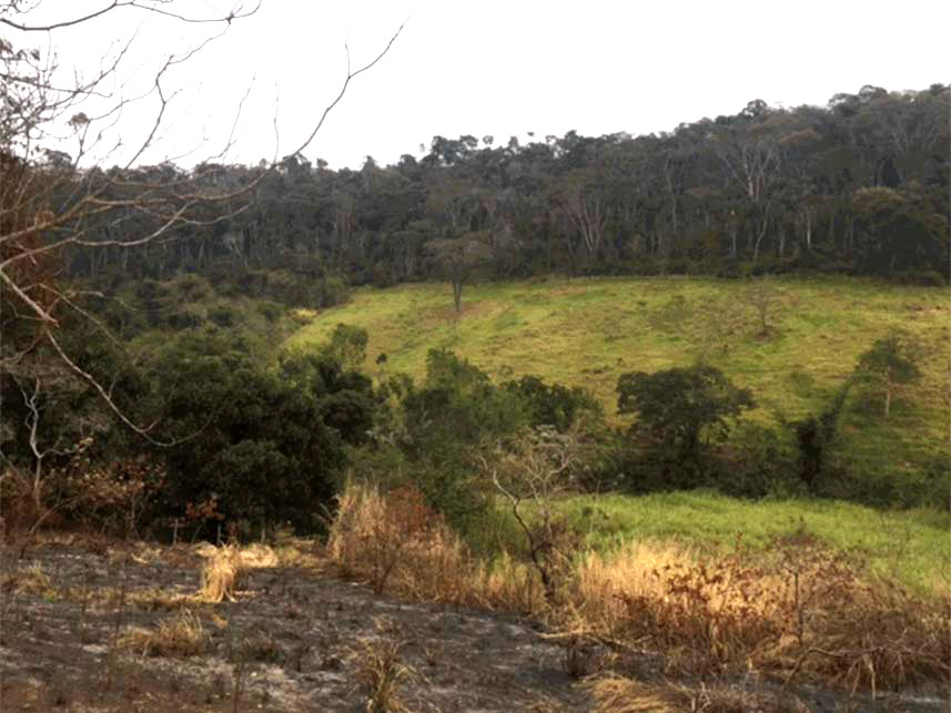 Imagem 3 do Leilão de Área Rural - Bairro Gulf - Comendador Levy Gasparian/RJ