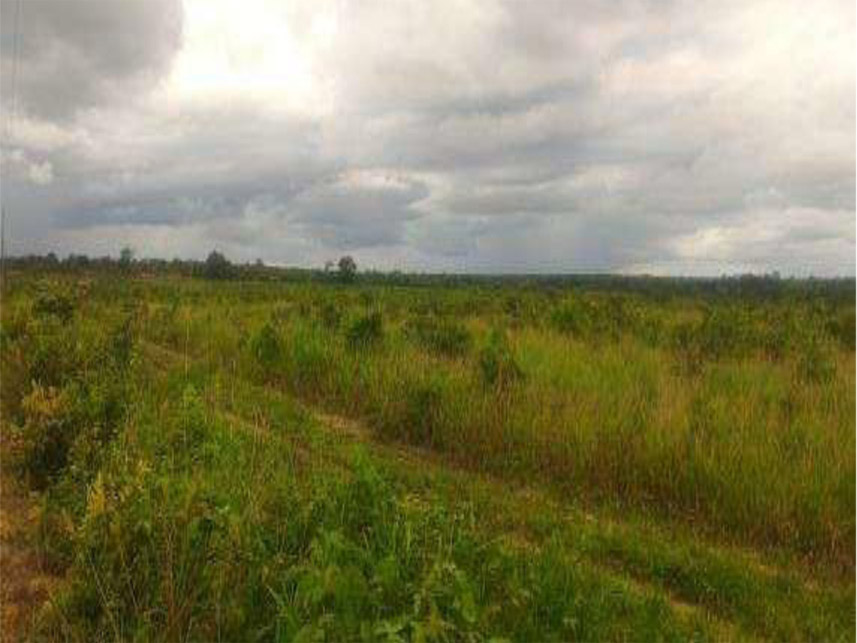 Imagem 2 do Leilão de Área Rural - Área rural - Santarém Novo/PA